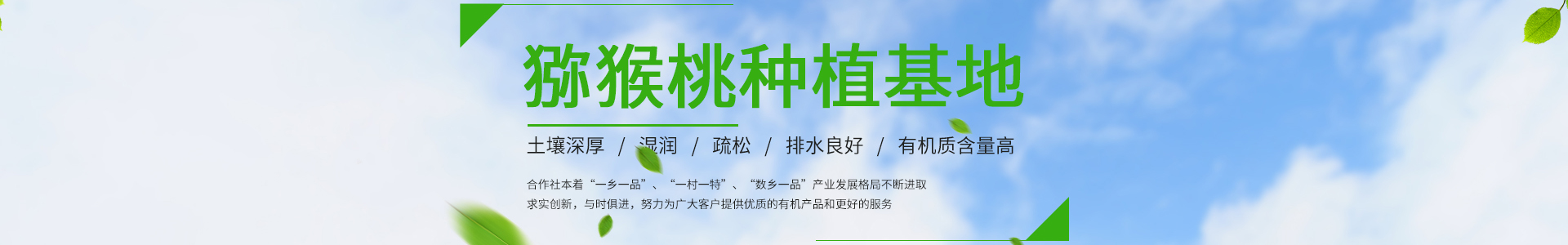 九游9游-女足欧洲锦标赛，欧洲女足预选赛|九游官网唯一入口 JIU YOU GAME