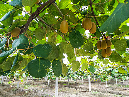 九游官网唯一入口基地展示三