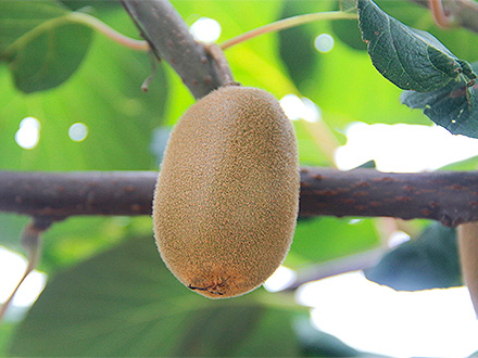 九游官网唯一入口基地展示二