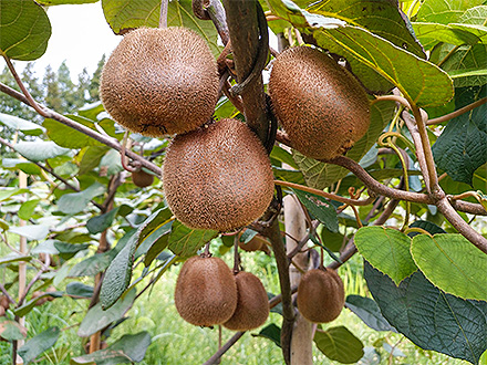 九游官网唯一入口基地展示六