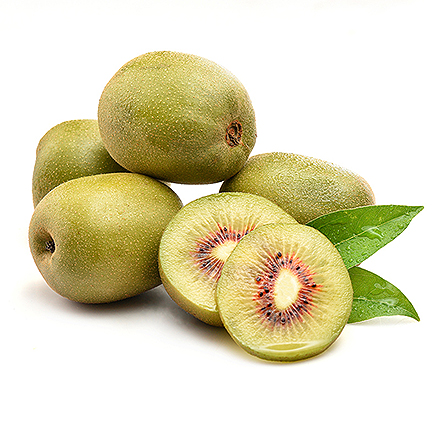 九游官网唯一入口产品中心八